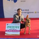 야리축산 이미지