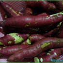 서리농장 이미지