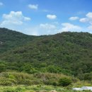 목동 한우농장 이미지