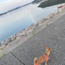 화원 별암리 이미지