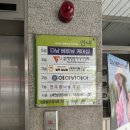 골든햄스터분양 탬펫 강남점 | 애완생명키우기) 골든햄스터 키우기 / 골든햄스터 분양 / 양재동 템펫