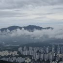 과천청사역 11번 출구 뒤 이미지