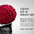 (주) 엘리시움파트너스