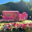 나은플라워 이미지