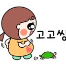 괴정4동 행정복지센터 이미지