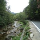 몰운대 등산로 입구 이미지