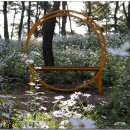 옥정호구절초테마공원 이미지