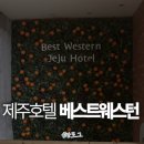 제주베스트상사 | 제주공항 근처 숙소, 제주 베스트웨스턴호텔 솔직후기!