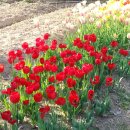 삼기체육관 이미지