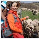 부부목장 이미지