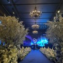 나루쉼터화장실 | W9. 보타닉파크 웨딩홀 대관료, 2026년 하반기&amp; 2027년 상반기 견적 분석 (+당일계약 혜택)