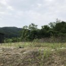 단석보건진료소 이미지