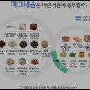 마그네슘 의 중요성 이미지