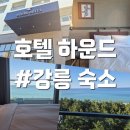 바다와솔숲 | 강릉 숙소 : [ 하운드호텔 ] 바다와 솔숲이 어우러진 힐링 강문해변 오션뷰숙소 추천