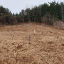 남해농장 이미지