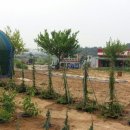 향남농장 네이버블로그