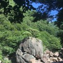 삼정농장2 이미지