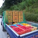 남원종합농약 이미지