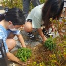 묘산초등학교 이미지