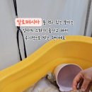 견생폼나개 이미지