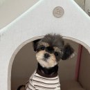 홍글몽글 이미지