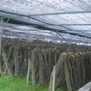 점촌농장 이미지