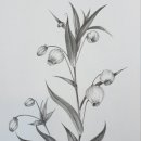 색연필 꽃그림, 보타니컬 아트 이미지