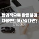 토마토 카써비스 이미지