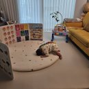 파란새싹어린이집 | 3월 쫌쫌따리 일상 (2)