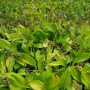 한진1농장 이미지