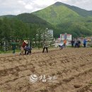 황부자농장 이미지