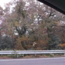 힐링사우나 이미지