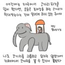 코끼리카페