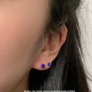 비크하우스 이미지