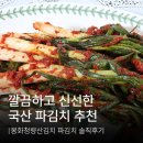 청량산에서 | 깔끔하고 신선한 국산 파김치 추천, 봉화청량산김치 파김치 솔직 후기