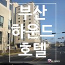 하운드호텔 기장일광점 | [부산 호텔] 기장 일광 호텔 어디 갈까? 하운드호텔 일광 1박2일 숙박 내 돈 내산 솔직 리뷰!(체크인 및...