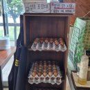 교동짬뽕기업도시 | 서충주 기업도시 중국집 임금님짬뽕 내돈내산 후기