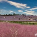 (주)안성목장 이미지