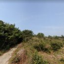 세화1리마을회관 이미지