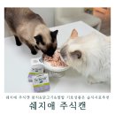 고양이 주식캔 쉐지애 참치&amp;닭고기&amp;쌀밥 그레인프리등급 습식사료 추천