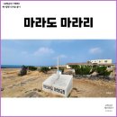 마라리 마을회관 | 제주도 마라도 ep2] 마라도 가볼만한 곳 할망당(애기업개당), 마라분교 ft. 별장 짜장
