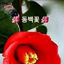행복한 하루 - 서구 | 행복한 하루