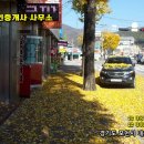 금지게공인중개사사무소 이미지