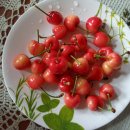 체리펜션 이미지