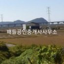 상사미지구 네이버블로그