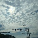 소풍시1947 이미지