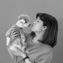 준스튜디오 이미지