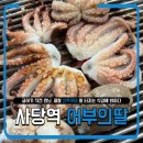 🐙 사당역 어부의딸 내돈내산 후기｜제철 산쭈꾸미, 알 터지는 식감에 반하다