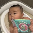 래빗코리아 | 아기 오감놀이 추천! 블루래빗 산리오캐릭터즈 시리즈 사용 후기