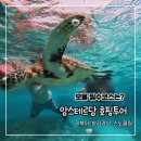 이솔라 식당 | 보홀 호핑투어 업체 발리카삭 버진아일랜드 이솔라 섬 입도 암스테르담 복장부터 팁까지~!
